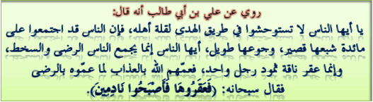أقوال مأثورة